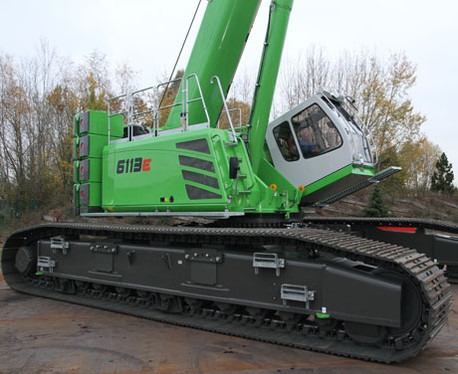 6113 RAUPE – Bild 2